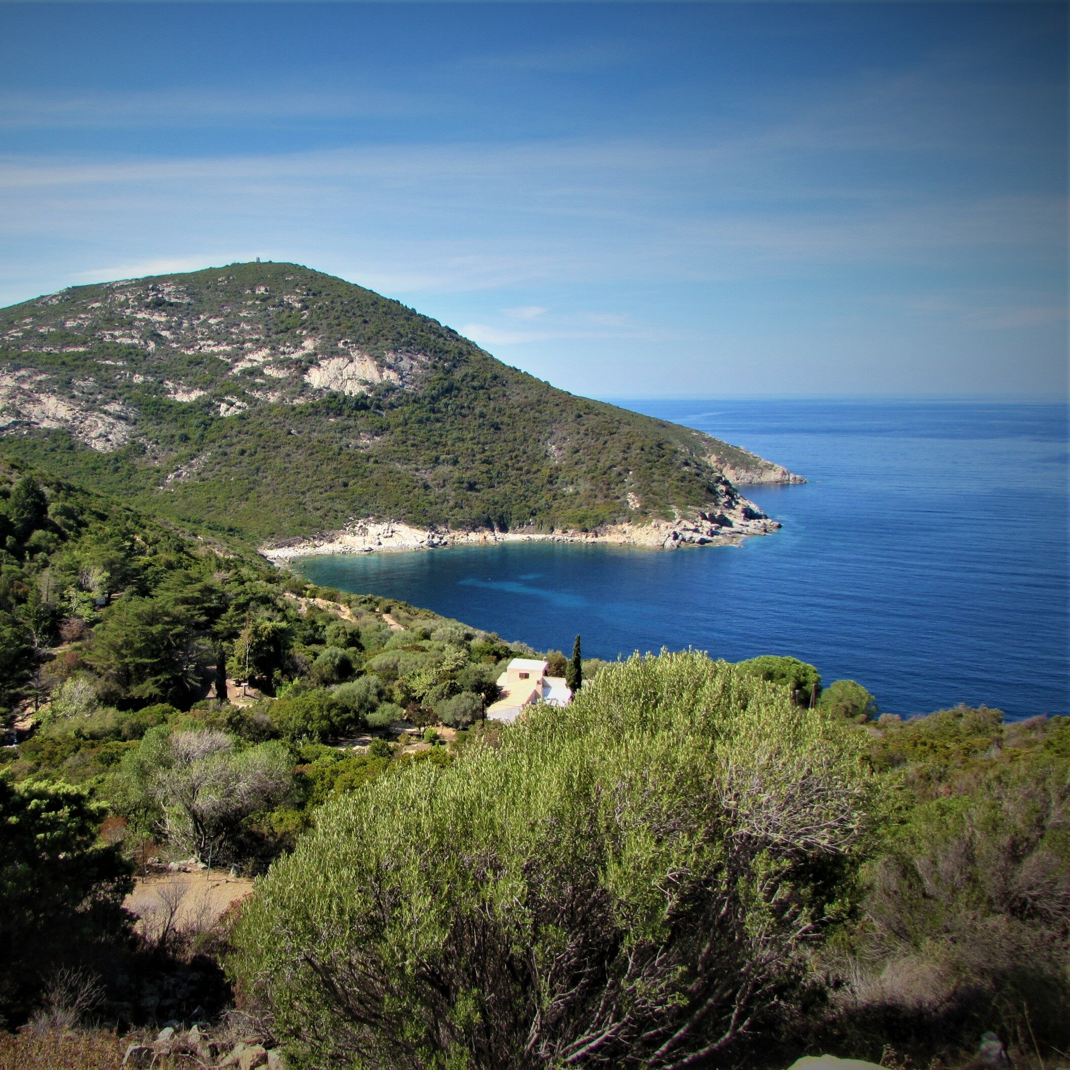 Corsica northern coast Calvi forest and sea