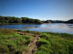 Menorca walking path nature park des Grau